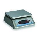 Wash Down Weigh Scales C3235A