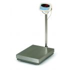 Floor Scale S100A